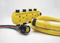 Cordset: 1 1/8"-16 Female Straight x Bare Wire, 12 Pins, Yellow, PVC, 1 ft Cable Lg (MPN 3R2004A20A120). Key specifications — IP Rating: IP67; Cable Jacket Color: Yellow; Wire Size: 16 AWG; Brand: BRAD HARRISON.