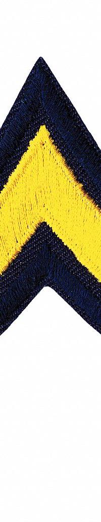 HEROS PRIDE Embroidered Patch: PFC, 3 in, Gold/Navy, Plastic, Sew-On, Rank Insignia, 1 PR (MPN 5410P). Key specifications — attr1074238: Sew-On; attr188498: 3 in; attr188499: Gold; attr188500: Plastic; attr188503: PFC; attr193746: HEROS PRIDE.