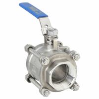 APPROVED VENDOR Manual Two-Way Ball Valve: 2 1/2 in, 316 Stainless Steel, Straight Valve Body, RPTFE (MPN G-S3P1K-250). Key specifications — Brand: APPROVED VENDOR; Handle: Locking Lever.