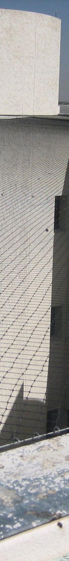 BIRD BARRIER Bird Repellent Netting: Bird Repellent Netting, Heavy, 1,250 sq ft Coverage Area, Black (MPN N1-B120). Key specifications — attr973634: BIRD BARRIER; attr973648: Polyethylene; attr973635: Black; attr1167352: Flame.