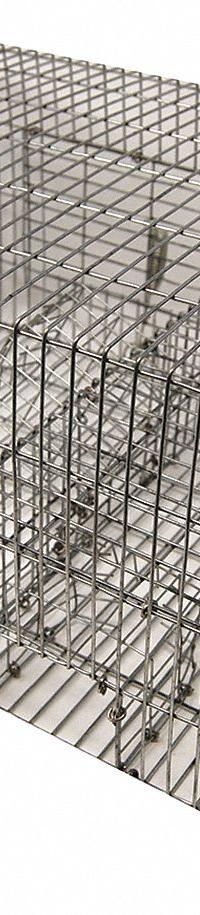 BIRD BARRIER Bird Trap: Two Door Trap, Stainless Steel, Indoor/Outdoor Use, (12) Birds Capacity (MPN tt-sp10). Key specifications — Product Type: Animal Trap; Features: Birds Enter the Trap and Immediately Move to the Elevated 2nd Level, Which Eliminates Their Feeling of Entrapment and the Need to Emit a Distress Call; Brand: BIRD BARRIER; Capacity: (12) Birds; Color: Silver; Indoor/Outdoor Use: Indoor/Outdoor; Material: Stainless Steel; Targeted Animals: Birds.