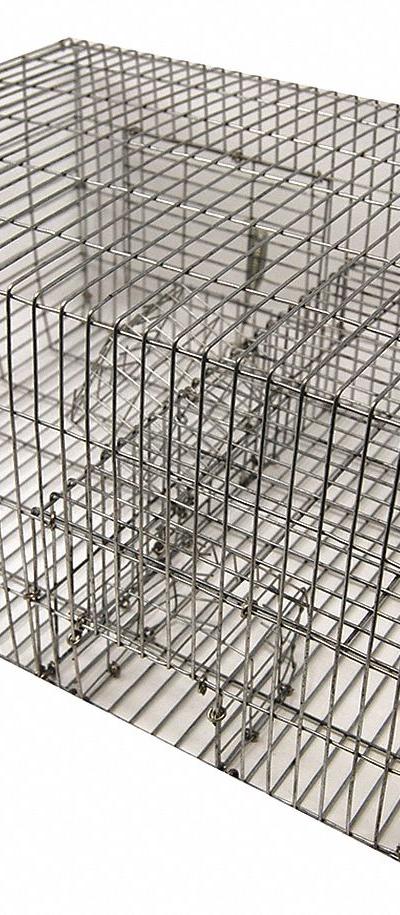 BIRD BARRIER Bird Trap: Two Door Trap - Bird Control Traps