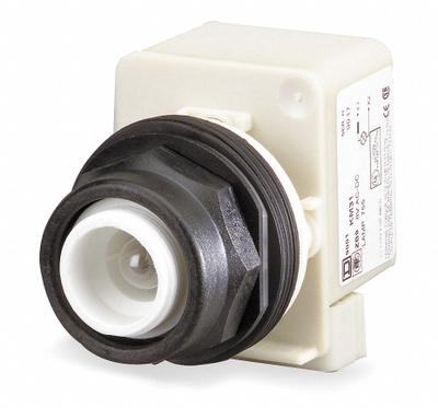 SCHNEIDER Extended Push Button: 30 mm Mounting Size, Non-Metallic - Illuminated Extended-Length Push-Button Operators