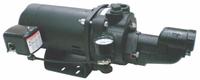 DAYTON Shallow Well Jet Pump: 1 hp HP, Single Phase, 115/230V AC, Ejector Included, Included (MPN 5UXK1). Key specifications — Rated Voltage: 115/230V AC; Brand: DAYTON; Ejector Included: Ejector Included; Ejector: Included.