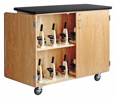 DIVERSIFIED SPACES Mobile Microscope Storage Cabinet: 40 in Overall Ht, 24 in Overall Dp, 4 ft Overall Wd - Mobile Cabinets