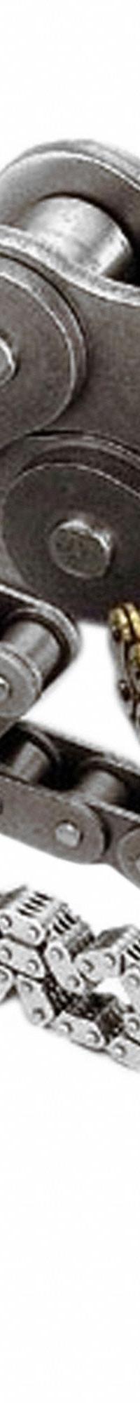 TRITAN Connecting Link: Connecting, Std Conveyor Chains For Chain, C2040, 1 in Pitch, Steel, Plain (MPN C2040-1R CL). Key specifications — Link Type: Connecting; Brand: TRITAN.