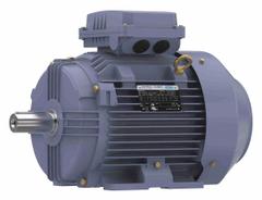 MARATHON MOTORS Metric Motor: 4 hp, Rigid Base Mount, 132S Frame Size, Totally Enclosed Fan Cooled (MPN TCA0033AE211GAA009). Key specifications — Brand: MARATHON MOTORS; Nameplate Voltage @ 60 Hz: 230/460V AC; Full Load Amps @ 60 Hz: 11.6/5.8 A; Nameplate RPM @ 60 Hz: 1180 RPM; Motor Enclosure: TEFC.