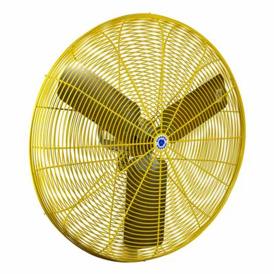 SCHAEFER Fan Head: 30 in Blade Dia, 2 Speeds, 115V AC, 1/2 hp Motor - High-Visibility Industrial Fan Heads