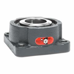 MOLINE BEARING 2 Bolt Flange Bearing: Spherical Roller, 2 3/16 in Bore, Cast Iron, Concentric Collar (MPN 19611203). Key specifications — Bore Type: Cylindrical; Brand: MOLINE BEARING; Lubricant Material: LC-2 Lithium Complex Grease; Mounting Bolt Size: 1/2 in; Split Housing: Not Split; System of Measurement: Inch.