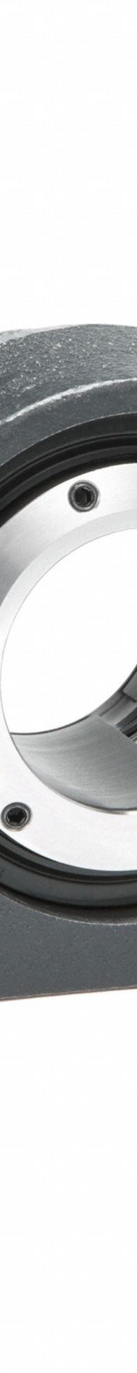 MOLINE BEARING Pillow Block Bearing: 2 11/16 in Bore, Spherical E Roller Bearing, Cast Iron, 2 Holes (MPN 29621211). Key specifications — Maximum Speed: 1,600 RPM; Mounting Bolt Size: 3/4; Brand: MOLINE BEARING.