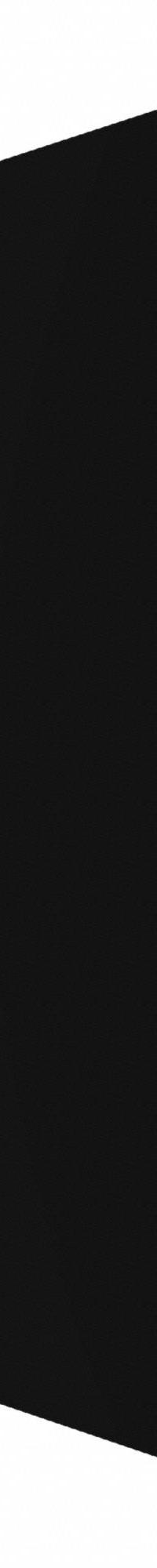 HADRIAN Partition Door: Solid Plastic HDPE, Plastic, Black, 55 in Ht, 22 in Wd, 1 in Thick (MPN X10022-211). Key specifications — Door Swing: Right Hand In/Left Hand Out; Brand: HADRIAN; Color: Black; Finish/Texture: Plastic.