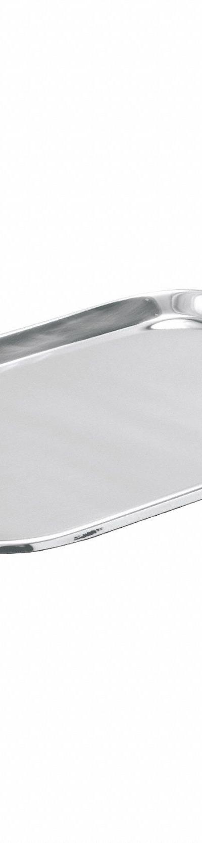 APPROVED VENDOR Lab Tray: Rectangular - Rectangular Lab Trays