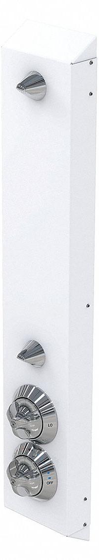BESTCARE Shower Faucet Panel: WH458, 1.5 gpm Fixed Showerhead Flow Rate, Brass, Ligature-Resistant (MPN WH458-FH-CSH). Key specifications — ADA Compliant: ADA Compliant; Series: WH458; Connection Type: NPT; Includes: Mounting Frame; Material: Brass.