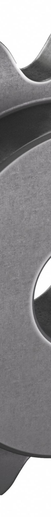 TRITAN Roller Chain Sprocket: 80, For 1 in Chain Pitch, 1 1/4 in Bore Dia, 16 Teeth, Steel (MPN 80BS16H X 1 1/4). Key specifications — Brand: TRITAN.