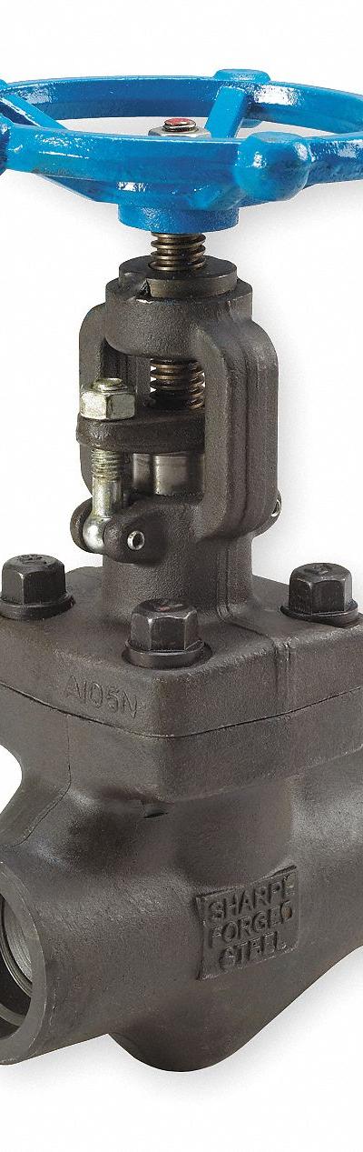 SHARPE Globe Valve: For Steam Media - Carbon Steel Straight-Body General-Service Globe Valves