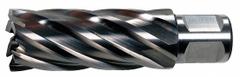 SLUGGER BY FEIN Annular Cutter: 25 mm Cutter Dia, 3 in Max Cutting Dp, Bright, High Speed Steel (MPN 63134250003). Key specifications — attr253884: No; attr253885: Bright; attr253886: High Speed Steel; attr253887: Weldon Flat; attr253888: Metric; attr277149: SLUGGER BY FEIN.