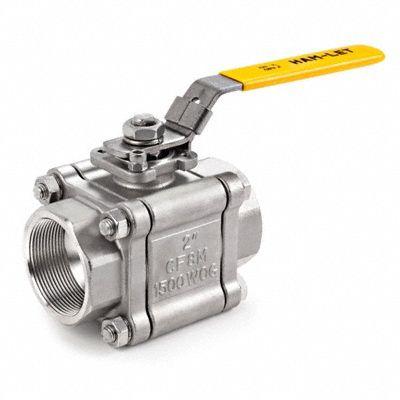 HAM-LET Manual Two-Way Ball Valve: 1/2 in, Stainless Steel, Straight, FNPT x FNPT - Straight-Body Stainless Steel Ball Valves