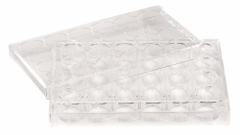 CELLTREAT Well Plate: Sterile, 48 Wells, 1 mL, RNase/DNase Free, Tissue Culture Treated, Polystyrene (MPN 229548). Key specifications — Brand: CELLTREAT; Body Color: Colorless; RNase/DNase Free: Yes; Material: Polystyrene.