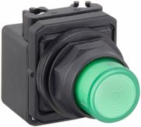 DAYTON Pilot Light: 30 mm Panel Mounting Size, Green, LED, 120 V AC Max Volt Rating (Supply) (MPN 30G404). Key specifications — Series: Dayton; Brand: DAYTON; Includes Push-To-Test: No Push-To-Test Included.