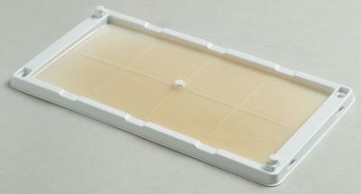 CATCHMASTER Glue Trap: Glue Trap, Adhesive, 10 1/4 in Overall Ht, 5 1/4 in Overall Wd - Rodent Traps