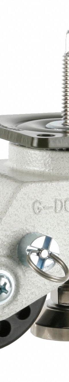 FOOT MASTER Plate Caster: Nylon Tread, 75 mm Wheel Dia, 110 mm Mounting Ht, 1,543 lb Load Capacity (MPN GDH-75-BSF-NYD). Key specifications — Brand: FOOT MASTER; Frame Color: White.