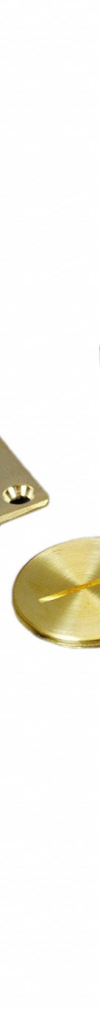 WIREMOLD Floor Box Cover: Rectangular, Gold, Brass, Brushed, 3 1/4 in L x 4 1/4 in W x 1/4 in H (MPN 828SPTC). Key specifications — Brand: WIREMOLD; Color: Gold; Cover Shape: Rectangular; Finish: Brushed; Material: Brass.