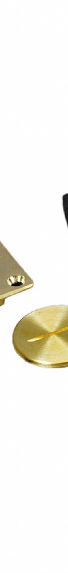 WIREMOLD Floor Box Cover: Rectangular, Gold, Brass, Brushed, 3 1/4 in L x 4 1/4 in W x 1/4 in H (MPN 828SPTC). Key specifications — Brand: WIREMOLD; Color: Gold; Cover Shape: Rectangular; Finish: Brushed; Material: Brass.