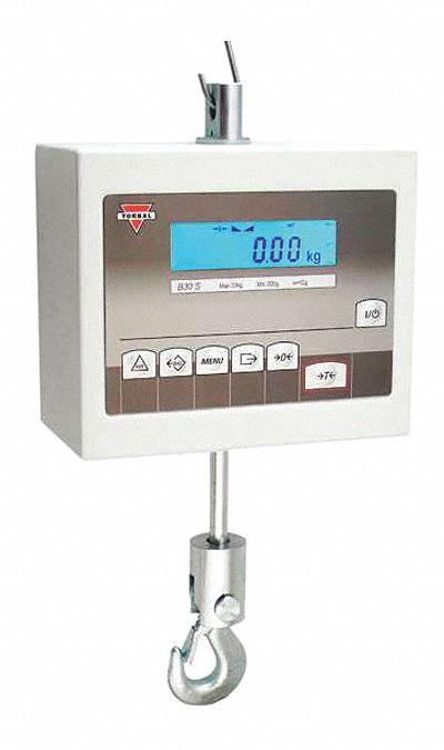 TORBAL Crane Scale: 60 lb Wt Capacity - Crane Scales