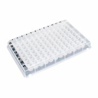 MTC BIO Deep-Well Well Plate: Sterile, 96 Wells, 0.5 mL, 8.2 mm Dia, RNase/DNase Free, Square (MPN D3096-09S). Key specifications — Brand: MTC BIO; Body Color: Colorless; RNase/DNase Free: Yes; Well Shape: Square; Material: Polypropylene.