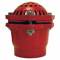 DIXON VALVE & COUPLING Foot Valve: Cast Iron, 2 in Pipe Size, Pumps, NPT (MPN DFVS25). Key specifications — Brand: DIXON VALVE & COUPLING.