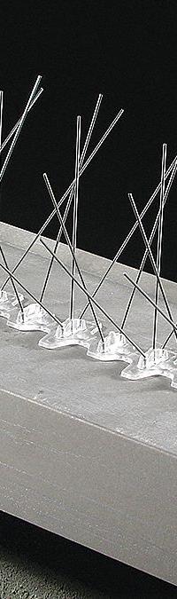 BIRD BARRIER Bird Repellent Spikes: Wide, Plastic Base, Silver, 50 ft Overall Lg, 8 in Overall Wd (MPN BP-F350). Key specifications — Brand: BIRD BARRIER; Spike Material: Stainless Steel; Targeted Birds: Pigeons; Base Material: Plastic; Ledge Width: Wide.