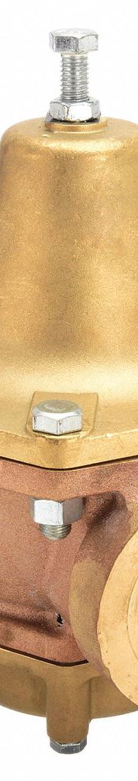 CASH VALVE Pressure Regulator: Bronze, FNPTF x FNPTF, 1 1/2 in Inlet Connection Size (MPN BZGSSSZTS01AD1-0009). Key specifications — Brand: CASH VALVE.