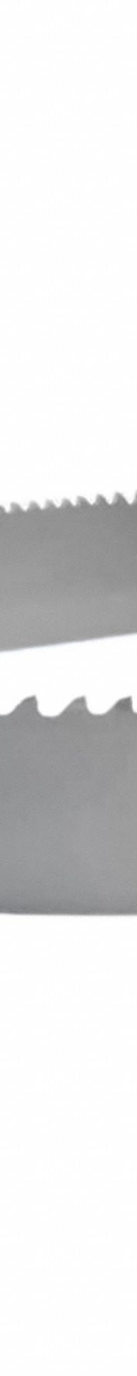LENOX Band Saw Blade: Bi-Metal, RX+, 17 ft, Variable Cutting Edge, 1 1/4 in Blade Wd, 3/4, RX+ (MPN 69733RPB165155). Key specifications — attr1211722: 17 ft; attr1099499: 3/4.