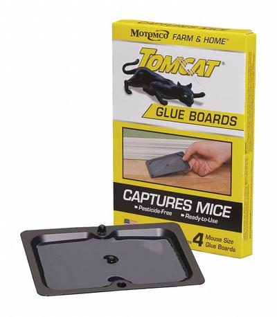 TOMCAT Glue Trap: Glue Trap, 1/4 in Overall Ht, 5 1/4 in Overall Wd, Plastic/Glue - Rodent Traps