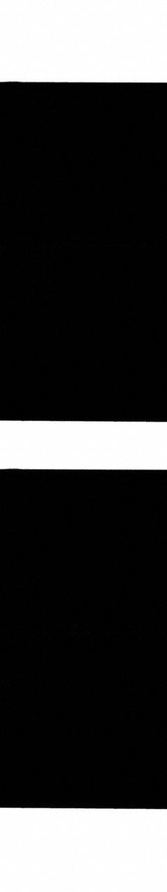 EGO Snow Blower Paddle Replacement: Steel, Compatible With Part No.: SNT2110, EGO (MPN ARP2101). Key specifications — Brand: EGO; Material: Steel; Product Type: Snow Blower Paddle; Compatible with Brand: EGO; Compatible with Manufacturer Model Number: SNT2110.
