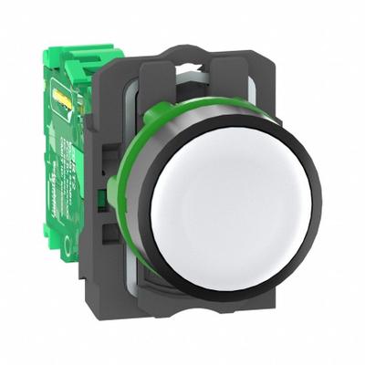 SCHNEIDER ELECTRIC Wireless Push Button Transmitter: 22 mm Panel Mounting Size - Non-Illuminated Panel-Mount Push Buttons with Transmitters