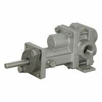 PULSAFEEDER Rotary Gear Pump Head: 316 Stainless Steel, 1/2" FNPT, Metal Alloy, 316 SS, 1/2 hp Req. (MPN GC4-ACE-KKU). Key specifications — Brand: PULSAFEEDER; For Motor Frame Size: 56C; Includes Relief Valve: No; Ports: 1/2" FNPT.