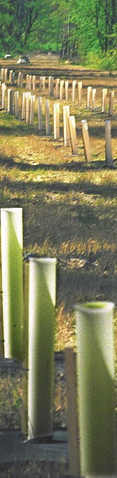 FIBERWEB Tree Protector: 4 ft Product Size, Green Plastic (MPN FETS120G34A)