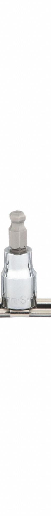 SK PROFESSIONAL TOOLS Socket Bit Set: 1 - 25 Pieces, 3/8 in Drive Size, 8 Pieces, Replaceable Insert (MPN 19752). Key specifications — attr1216280: Replaceable Insert; attr1216283: SK PROFESSIONAL TOOLS; attr1225718: 3 mm to 10 mm; attr1227491: 3/8 in.