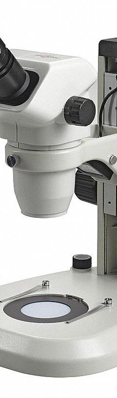 ACCU-SCOPE Microscope: Stereo, Binocular, 0.67X to 4.5X, 22 mm Optical Field of View, LED, Eyeguards (MPN 3075-LED). Key specifications — attr1026089: LED; attr1026045: 7-3/4 in x 15 in; attr1026048: ACCU-SCOPE; attr1026055: Yes; attr1026068: 10X; attr1026078: 0.67X to 4.5X; attr1026095: 100 mm.