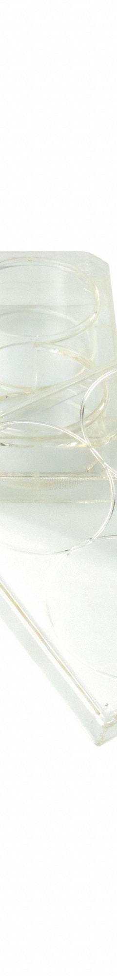 CAPLUGS Tissue Culture Treated Well Plates: Sterile, 6 Wells, 17.7 mL, 85 mm Dia, Square (MPN 333802801FE1). Key specifications — Brand: CAPLUGS; Body Color: Natural; RNase/DNase Free: No; Well Shape: Square; Material: Polystyrene.