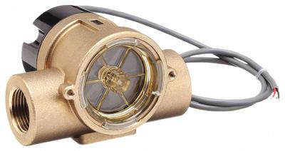 GEMS SENSORS Flow Indicator: Rotor, 316 Stainless Steel, 9/16 in NPT, 9/16 in Connection Size - Flow Sights