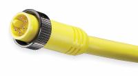 Cordset: 7/8"-16 Male Straight x Bare Wire, 5 Pins, Yellow, PVC, 12 ft Cable Lg, 8 A Max Current (A) (MPN 105002A01F120). Key specifications — Cable Jacket Color: Yellow; NEMA Rating: 6P; Cable Jacket Material: PVC; IP Rating: IP68; Wire Size: 16 AWG; Brand: BRAD HARRISON.