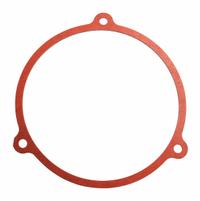 DAYTON Flat Gasket: Mfr Prt PP26123BW0501G. Key specifications — Manufacturer Part Number: PP26123BW0501G.
