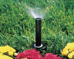 RAIN BIRD Spray Head for Shrubs: Adj, 8 to 15 ft, 0.50 gpm, 15 to 70 psi, Plastic/Stainless Steel (MPN 1804VANS). Key specifications — Throw Radius: 8 to 15 ft; Brand: RAIN BIRD; Flow Rate: 0.50 gpm; Pattern: Adjustable; Pressure Range: 15 to 70 psi; Sprinkler Head or Nozzle Type: Pop-Up Spray Head.