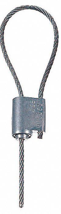 TYDENBROOKS Cable Seals: Silver, Zinc, 12 in Cable Lg, 1/8 in Cable Dia, Sequential, 250 PK (MPN SCEZ181277HS). Key specifications — Brand: TYDENBROOKS; Marking Color: Black; Marking Included: Numbers; Marking Message: Sealed; Marking Numbering: Sequential.