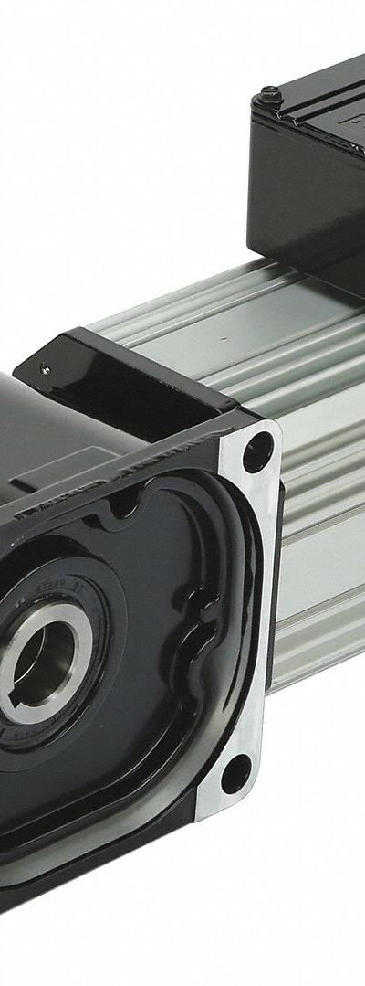 BISON AC Gearmotor: Right Angle - Hollow Shaft Right Angle AC Gearmotors