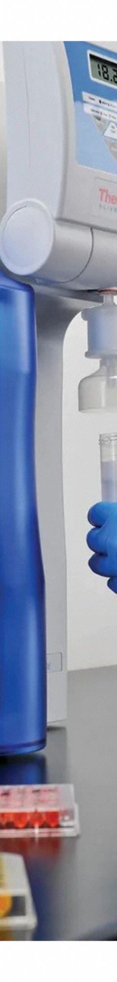 THERMO SCIENTIFIC Water Purification System: Type I Water, 1 lpm Flow Rate, 18.2 Mohm.cm at 25°C (MPN 50129885). Key specifications — Manufacturer Part Number: 50129885; Brand: THERMO SCIENTIFIC; Product Type: Water Purification System; Purified Water Type: Type I Water; Feed Connection: 3/4" NPT; Feed Water Monitoring: No; Feed Source: Tap Water; Impurities Removed: Bacteria.