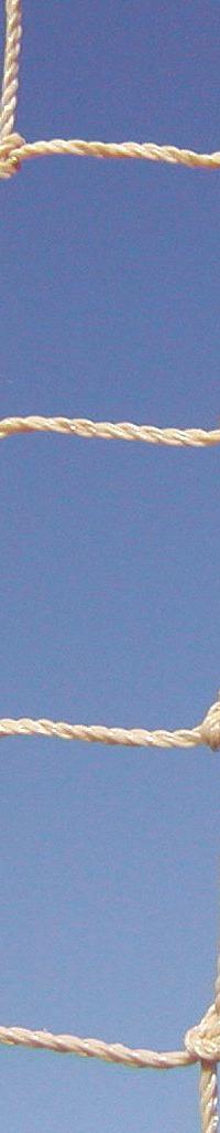 BIRD BARRIER Bird Repellent Netting: Bird Repellent Netting, Heavy, 2,500 sq ft Coverage Area, Beige (MPN N1X-S220). Key specifications — Brand: BIRD BARRIER; Material: Polyethylene; Color: Beige; Resists: Rot.