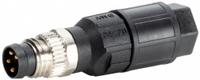 MURRELEKTRONIK Circular Connector: A Coded, 4 Pin, M8 Screw with Straight Connection, IP65/IP67, IDC (MPN 7000-08345-0000000). Key specifications — Brand: MURRELEKTRONIK; IP Rating: IP65; Housing Material: PA; Connector Body Type: Pin; Coding: A; Voltage Rating: 30V DC; Wiring Type: IDC.